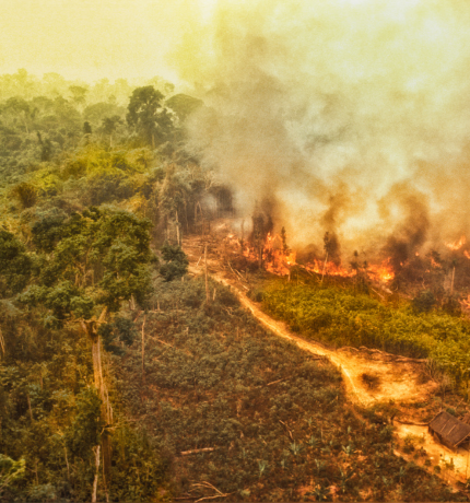 La Amazonía sufrió una pérdida de bosques casi tan grande como el tamaño de Colombia, revela análisis de MapBiomas