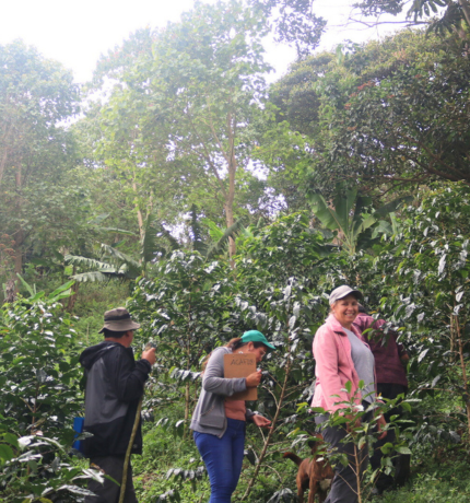 Concluimos con éxito la tercera fase de Aves y Café: más de 700 hectáreas conservadas con cultivos agroforestales.